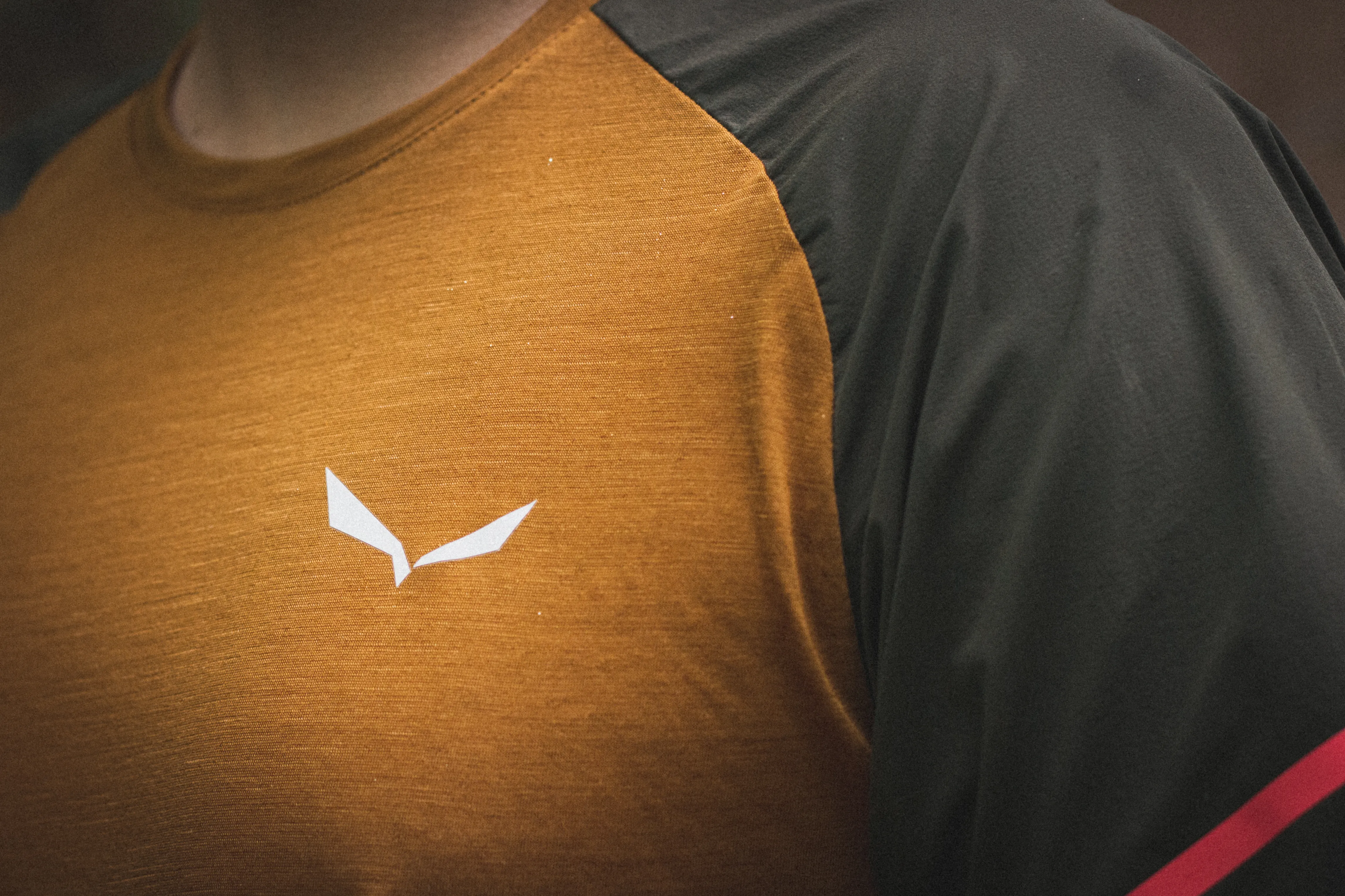 Poznaj adaptacyjne właściwości koszulek z merino