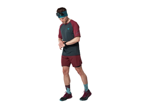 Męska Koszulka Sportowa Dynafit Alpine Pro M S/S Tee - Blueberry Burgundy/6560