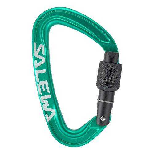 Karabinek do wspinaczki Salewa Ortles Screw Carabiner - irish green