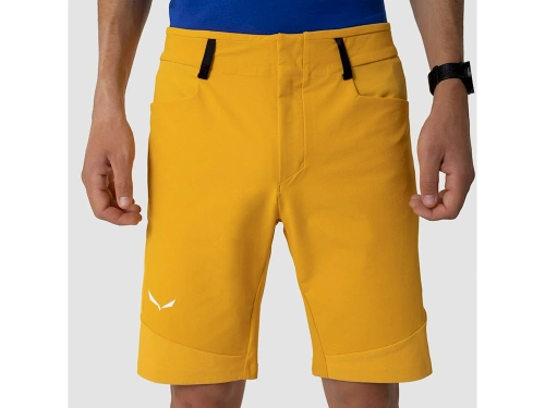 Męskie spodenki wspinaczkowe Salewa Agner Dst M Shorts - electric/0910