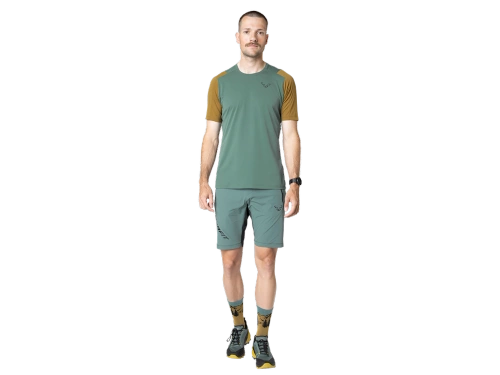 Męskie Spodenki do Trekkingu Dynafit Transalper 2 Light DST Shorts M - atlantic