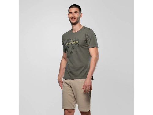Męska Koszulka z Logo Salewa Eagle Nature T-Shirt M - faded green