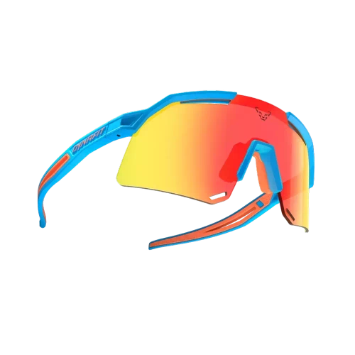 Okulary Dynafit Ultra Evo Sunglasses - Frost
