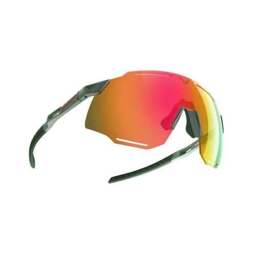 Okulary Sportowe Dynafit Alpine Evo Sunglasses - sage / thyme cat 3