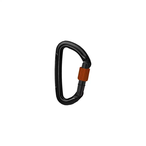 Karabinek Wild Country SESSION SCREW GATE - black