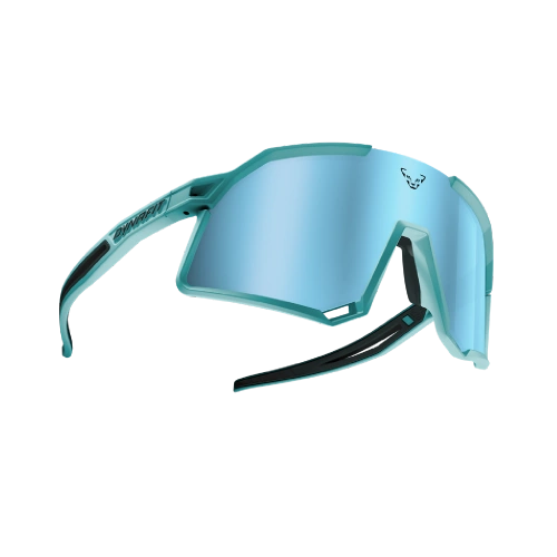 Okulary Biegowe Dynafit Trail Evo Sunglasses - marine blue/blueberry cat 3