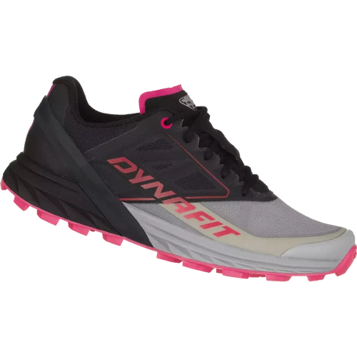 Damskie Buty biegowe Dynafit Alpine W - alloy/black out