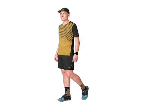 Męska Koszulka do Biegania Dynafit Alpine 2 S/S Tee M - tobacco/0910