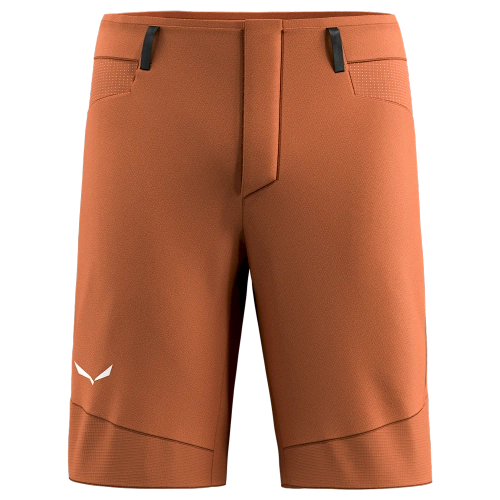 Męskie spodenki górskie Salewa Agner DST M Shorts. - bombay brown
