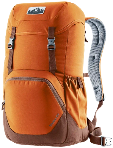 Plecak Codzienny Deuter Walker 24 - chestnut-umbra